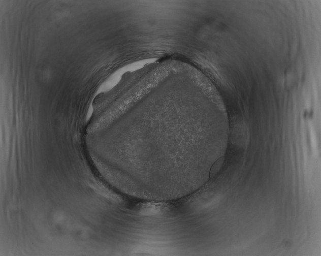 X0000090440077200708031204