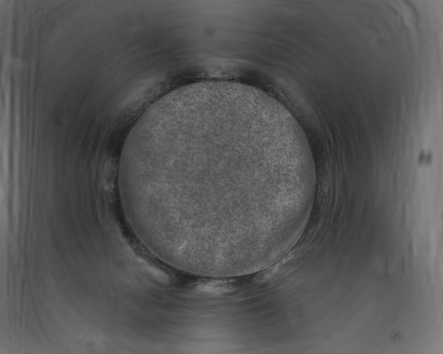 X0000090440078200708031204