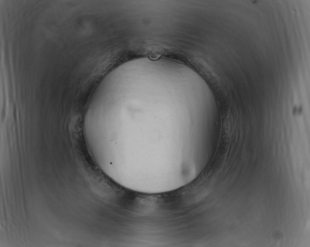 X0000090440079200708031204