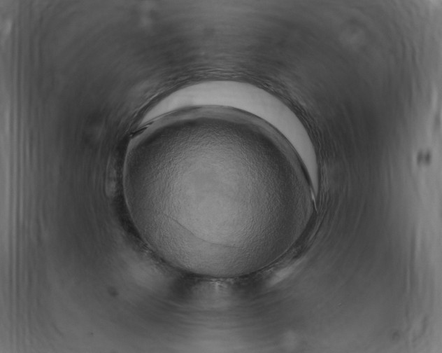 X0000090440080200708031204