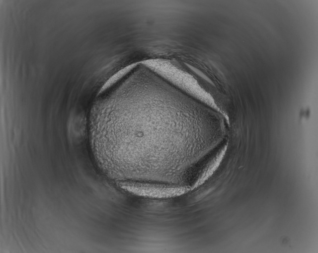 X0000090440081200708031204