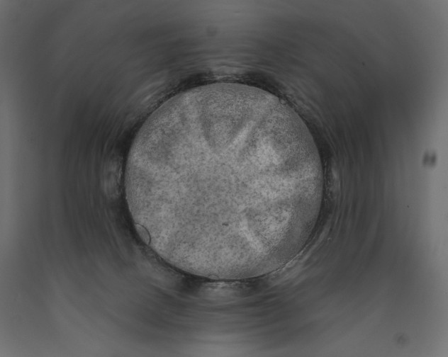 X0000090440082200708031204