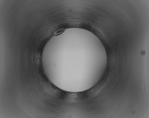 X0000090440083200708031204