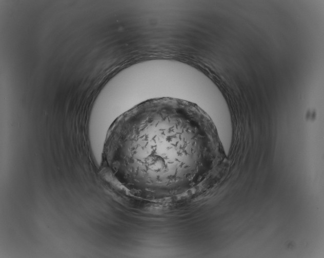 X0000090440084200708031204