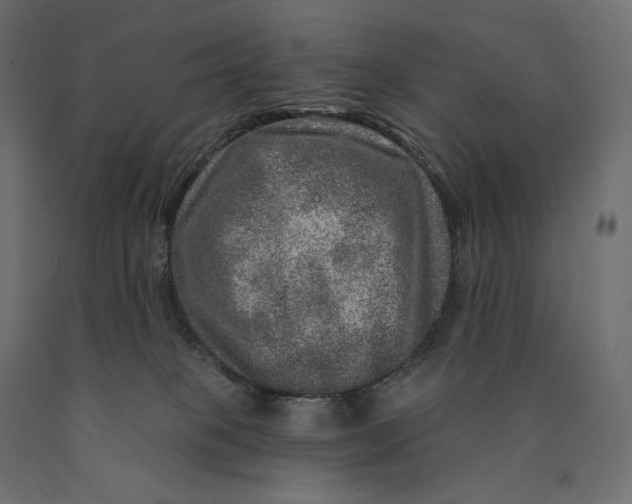 X0000090440085200708031204