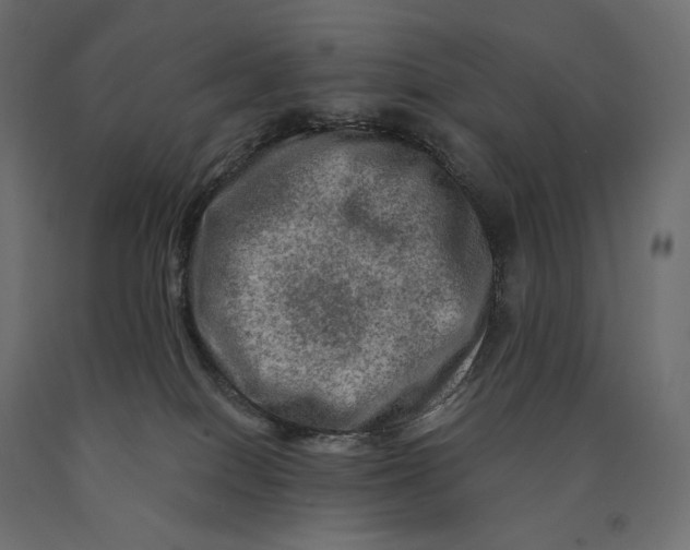 X0000090440086200708031204