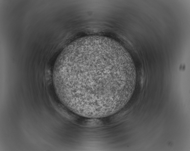 X0000090440087200708031204