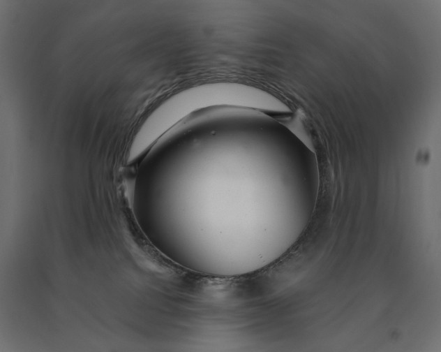 X0000090440088200708031204