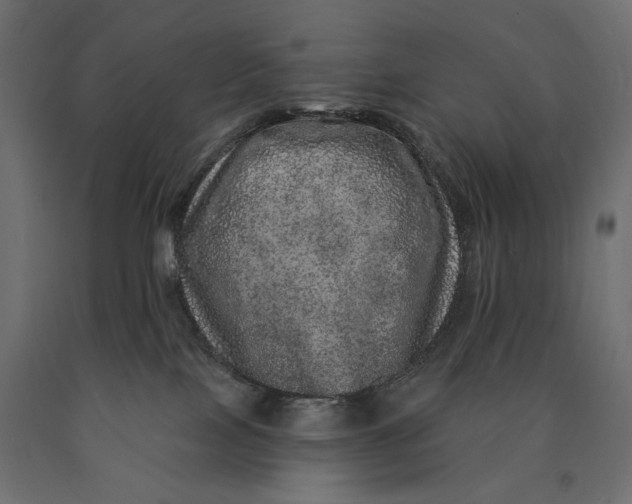 X0000090440089200708031204