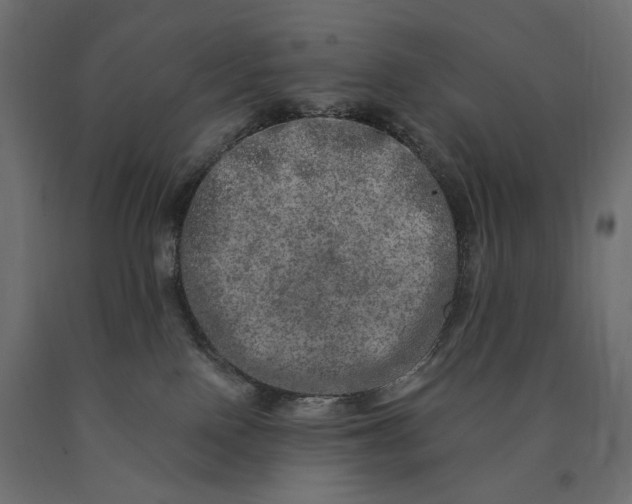 X0000090440090200708031204