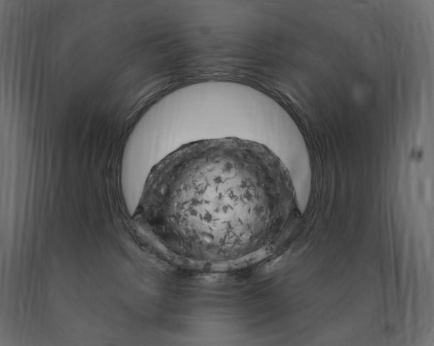 X0000090440092200708031204