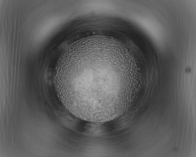 X0000090440093200708031204