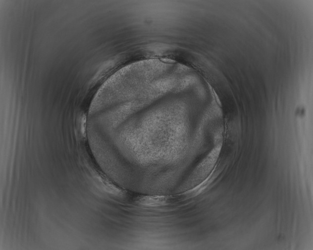 X0000090440094200708031204