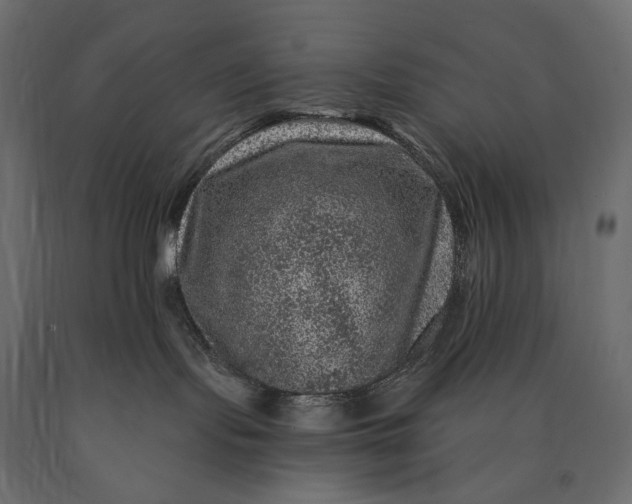 X0000090440095200708031204