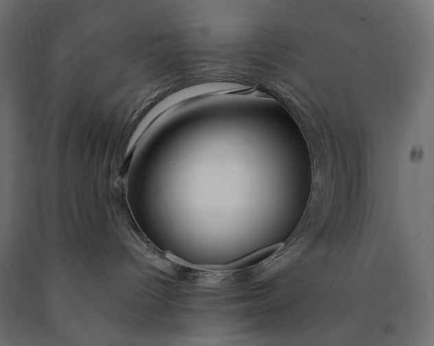 X0000090440096200708031204