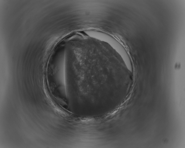 X0000090440097200708031203