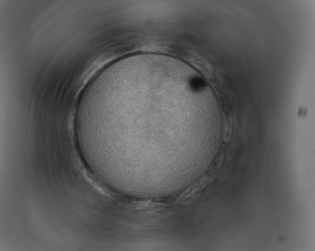 X0000090440098200708031203