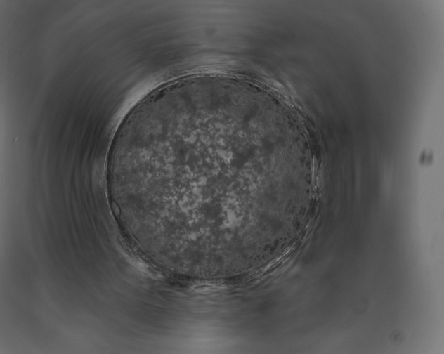 X0000090440099200708031203