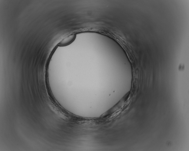 X0000090440100200708031203