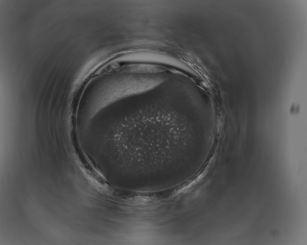 X0000090440101200708031203