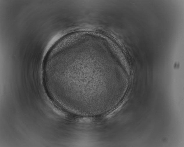 X0000090440102200708031203