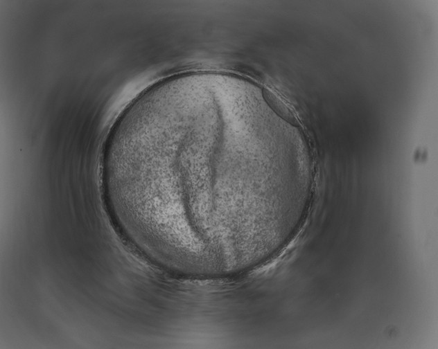 X0000090440103200708031203