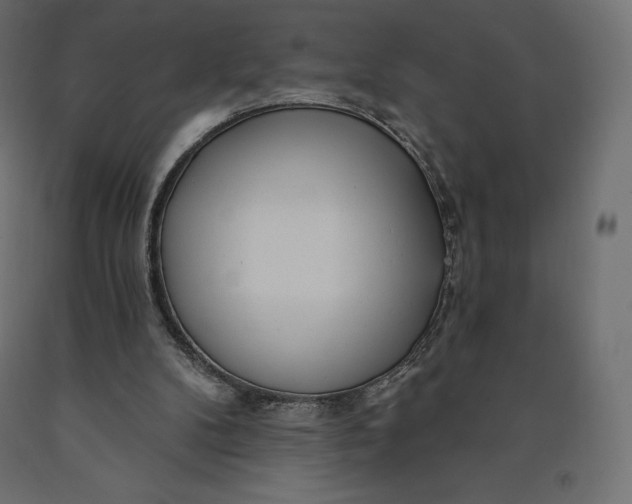 X0000090440104200708031203