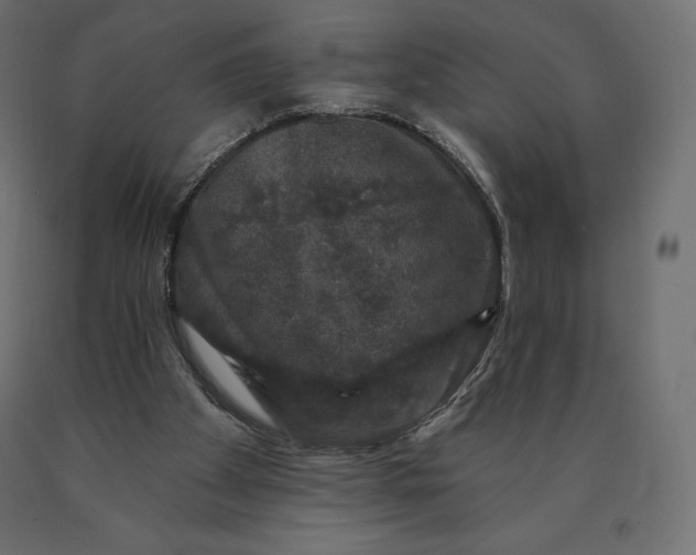 X0000090440105200708031203