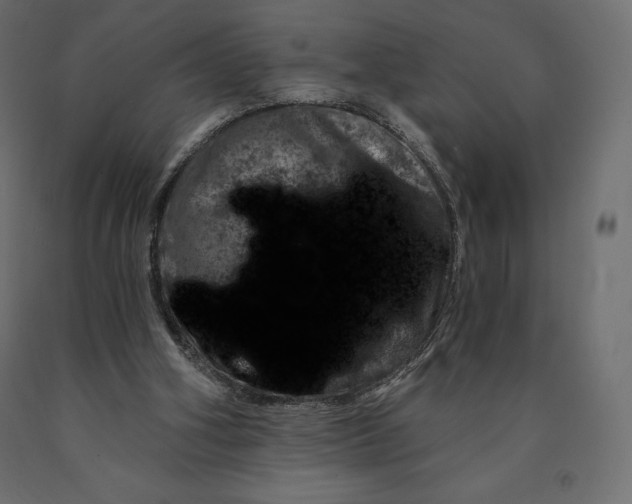 X0000090440106200708031203