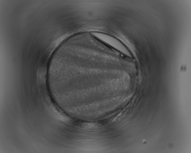 X0000090440107200708031203