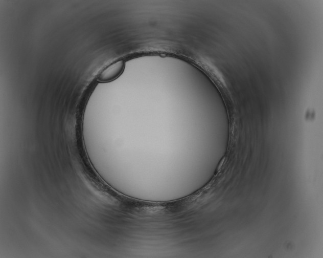 X0000090440108200708031203