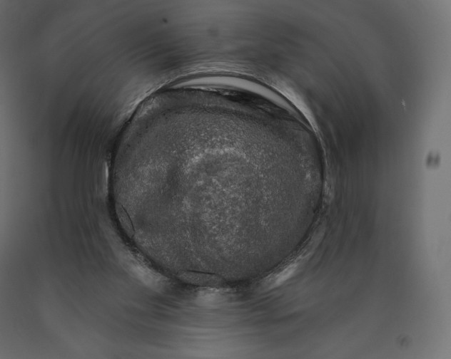 X0000090440109200708031203