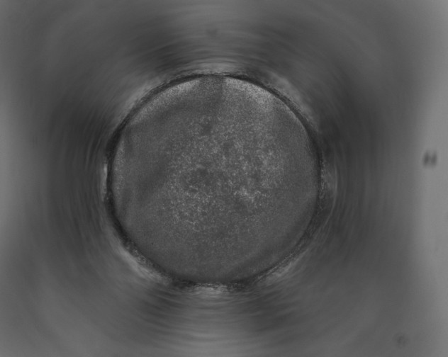 X0000090440110200708031203