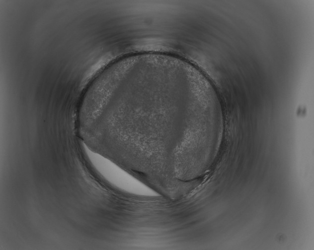 X0000090440111200708031203