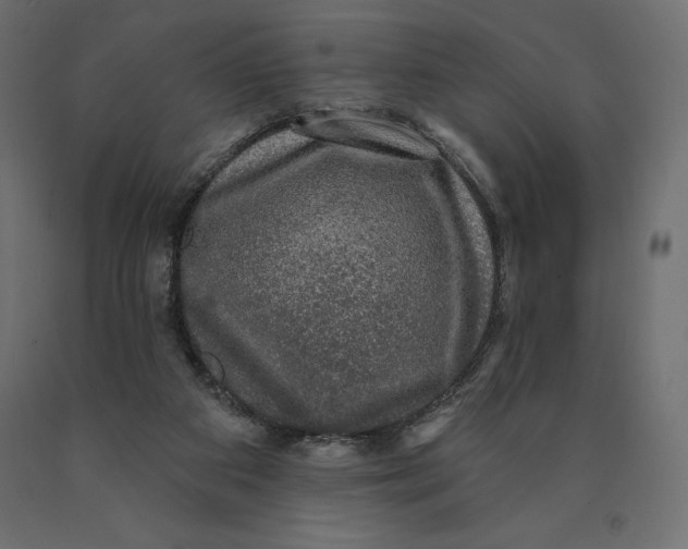 X0000090440113200708031203