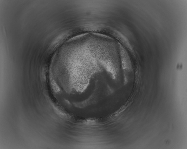 X0000090440114200708031203