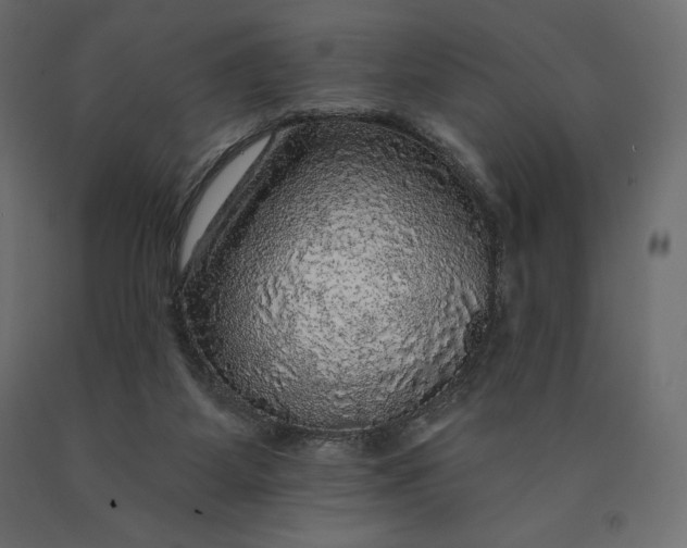 X0000090440115200708031203