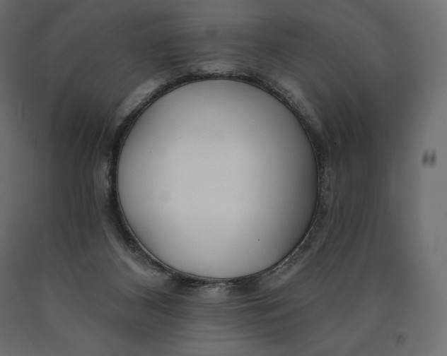 X0000090440116200708031203