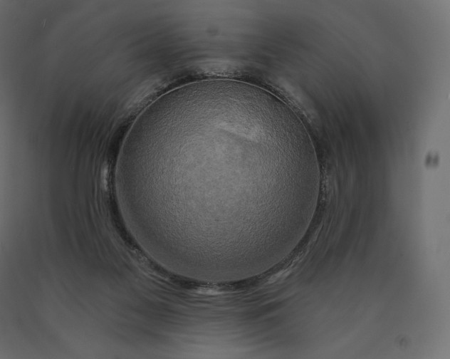 X0000090440117200708031203