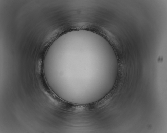 X0000090440118200708031203