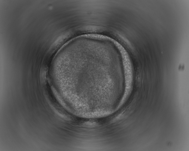 X0000090440119200708031203