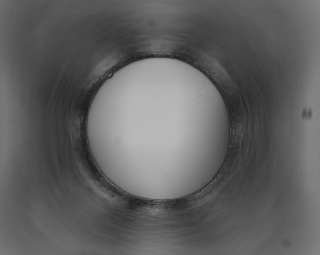 X0000090440120200708031203