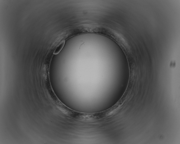 X0000090440121200708031203