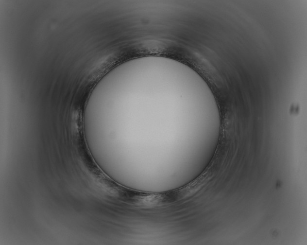 X0000090440122200708031203