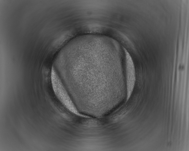 X0000090440123200708031203