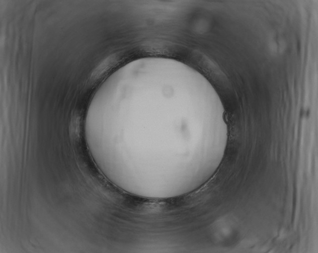 X0000090440124200708031203