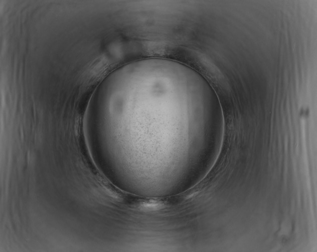 X0000090440125200708031203