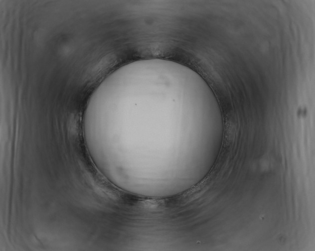 X0000090440126200708031203