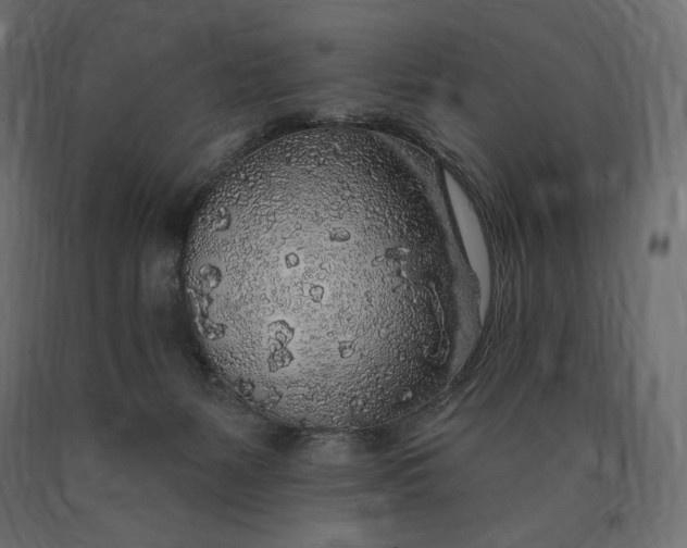 X0000090440127200708031203