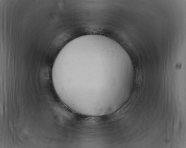 X0000090440128200708031203